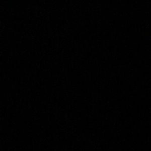 Meet your Posher, Dustin